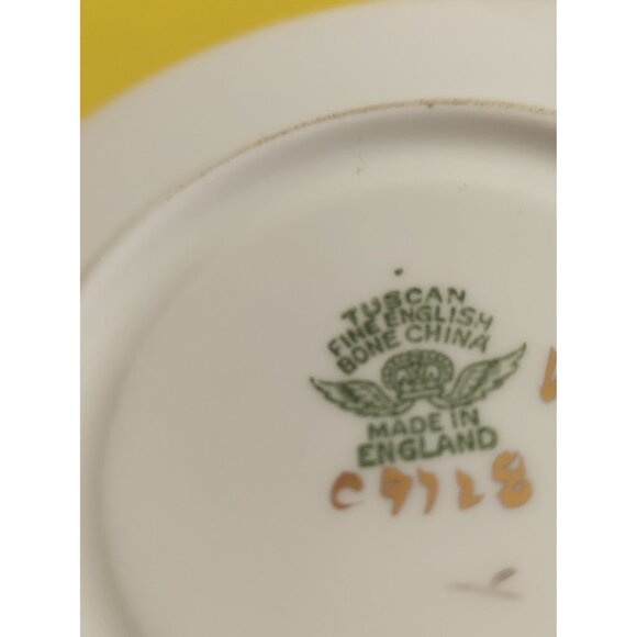 Vintage Tuscan England Gardenia Hand Painted Teacup and Saucer - Picture 11 of 14